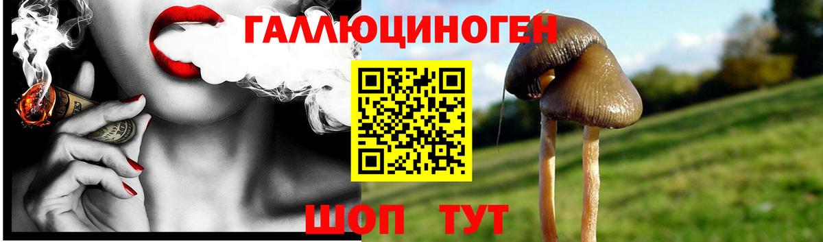 Псилоцибиновые грибы Psilocybine cubensis  Псилоцибиновые грибы Psilocybe  Североуральск  Вход с VPN 